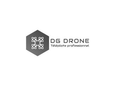 DG DRONE